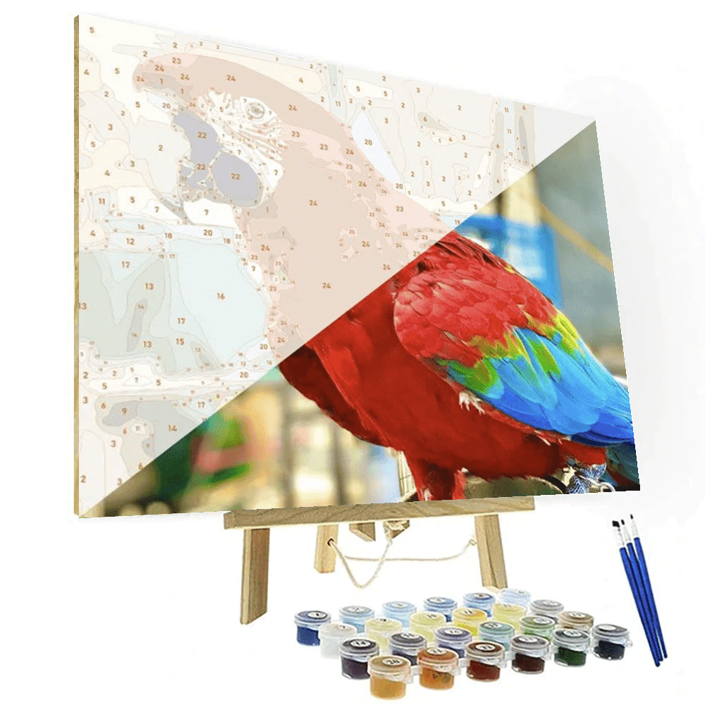 Personalized Custom Paint By Numbers Canvas Kit