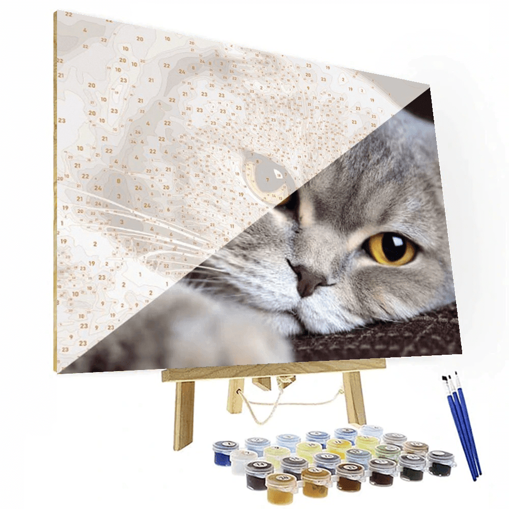 Personalized Custom Paint By Numbers Canvas Kit