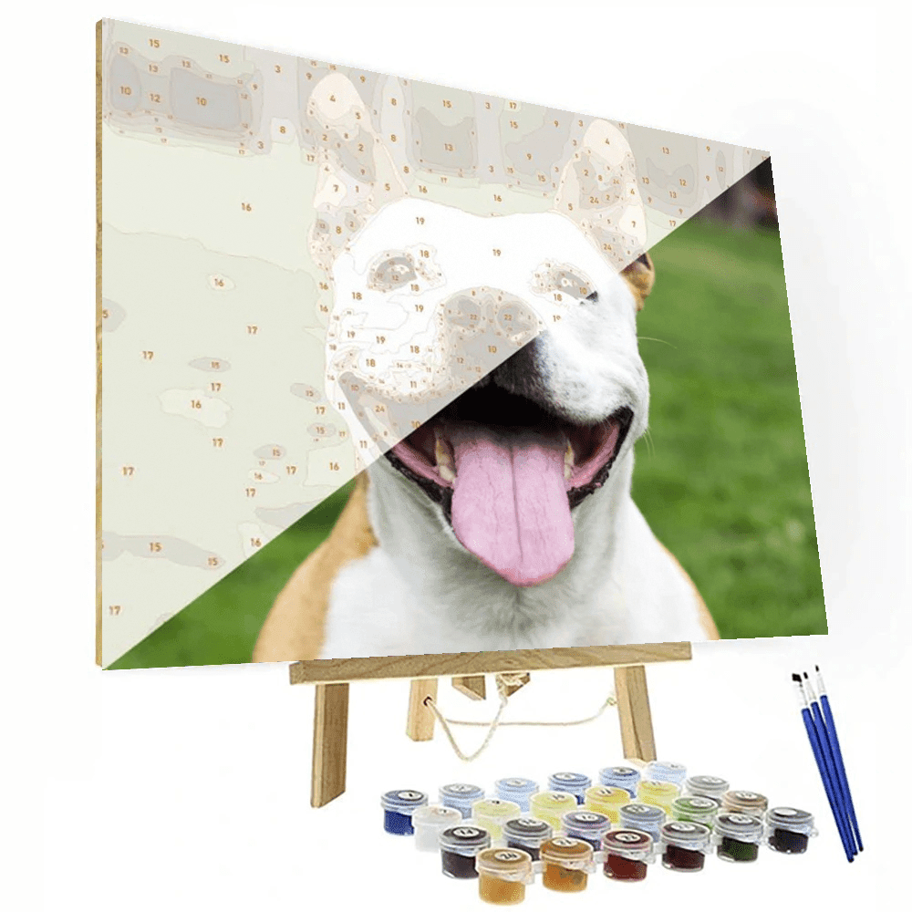 Personalized Custom Paint By Numbers Canvas Kit