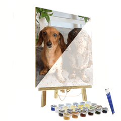 Personalized Custom Paint By Numbers Canvas Kit