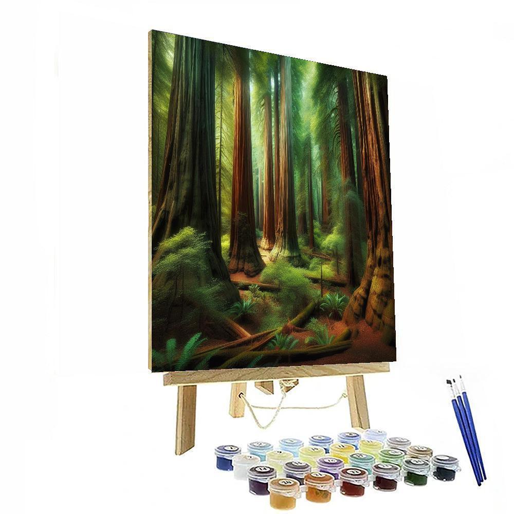 Forest of Giant Redwoods - DIY Painting By Numbers Kit